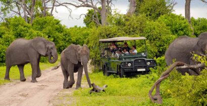 Botswana Safaris