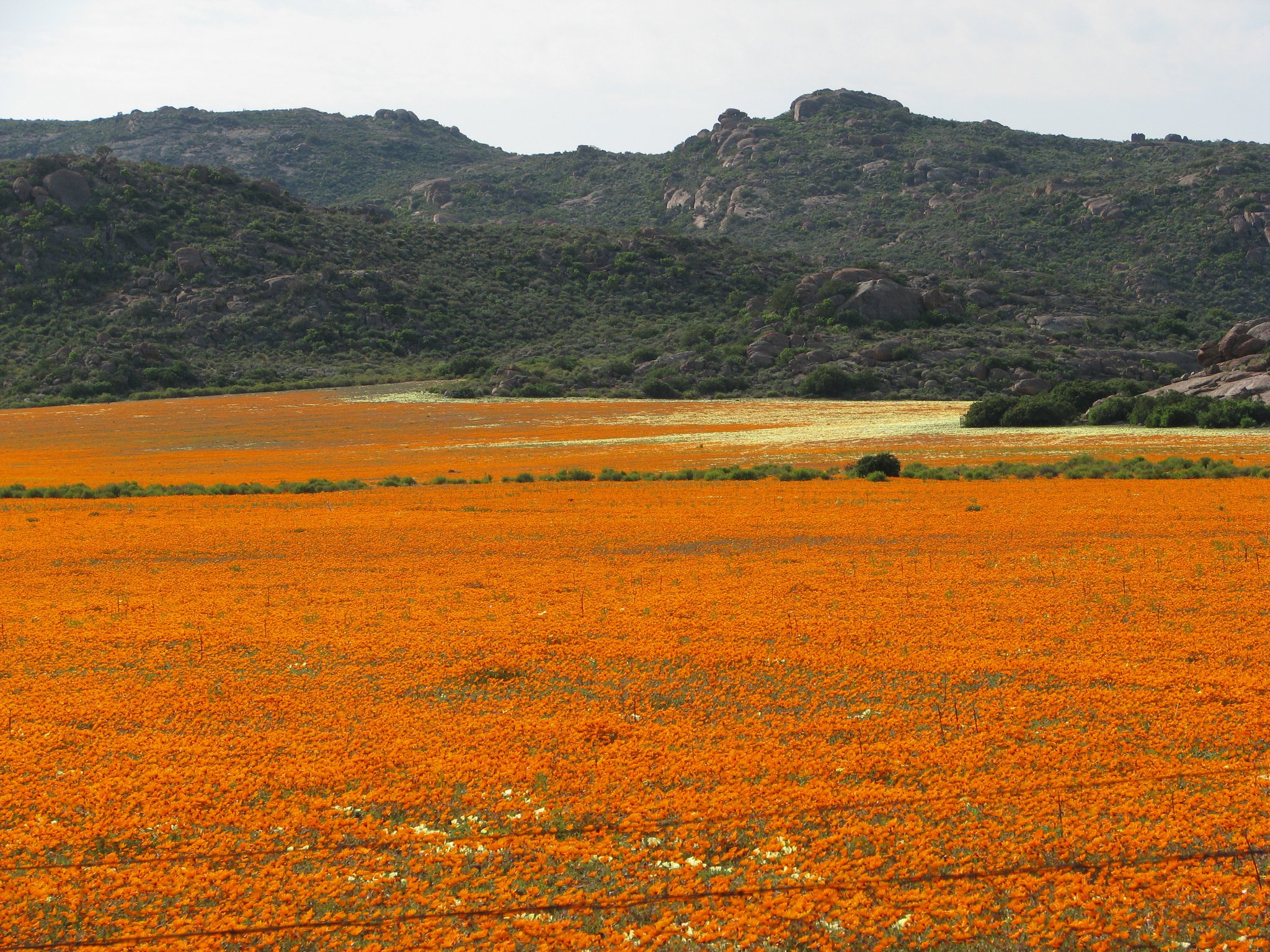 Namaqualand Tours