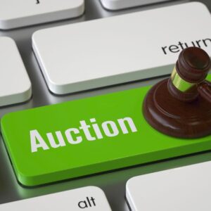 Rent An Auction