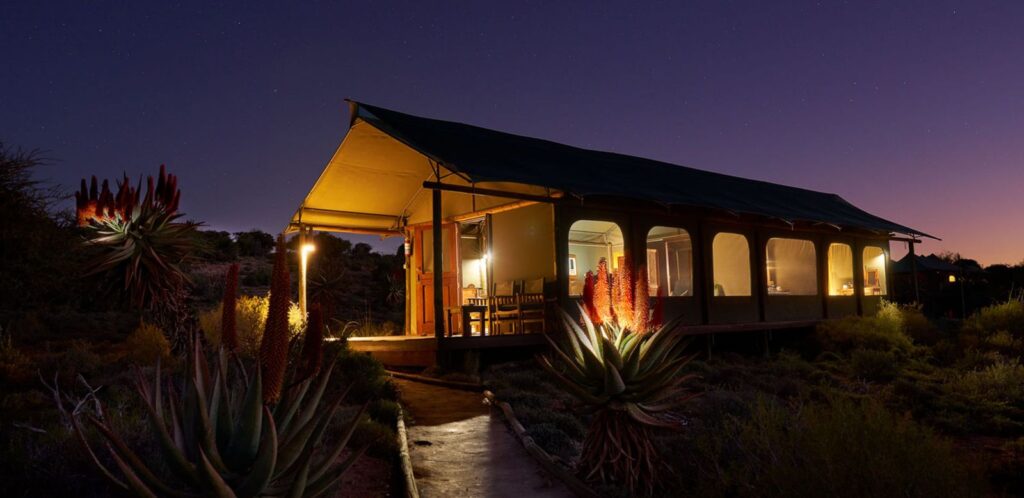 Buffelsdrift Game Lodge