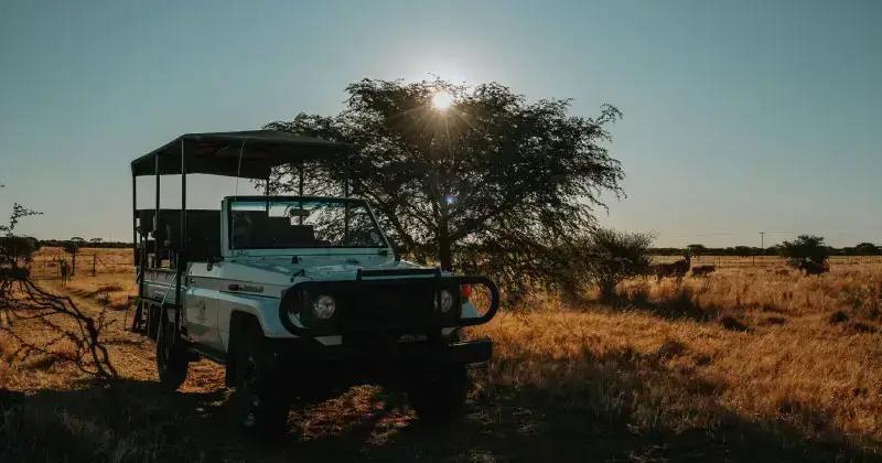 Game-Drives-Chanbe-Lodge-Kimberley
