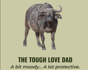 Details Image