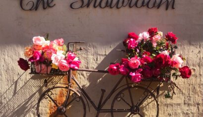 The Showroom Art Gallery