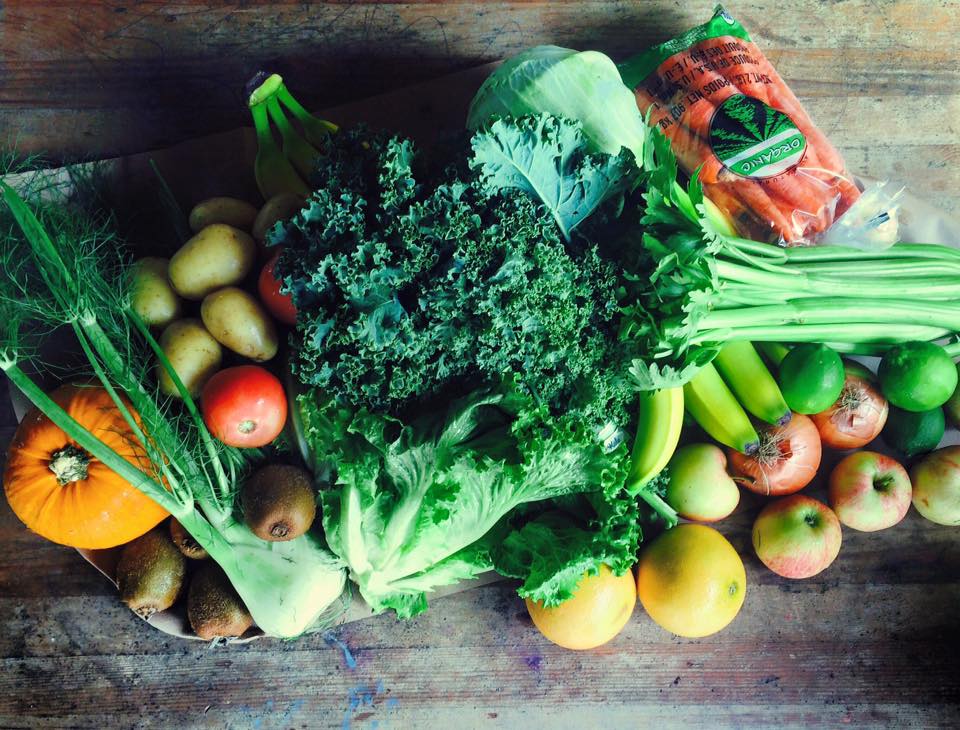 Your Health Source – Monica Brown Dallas Fort Worth