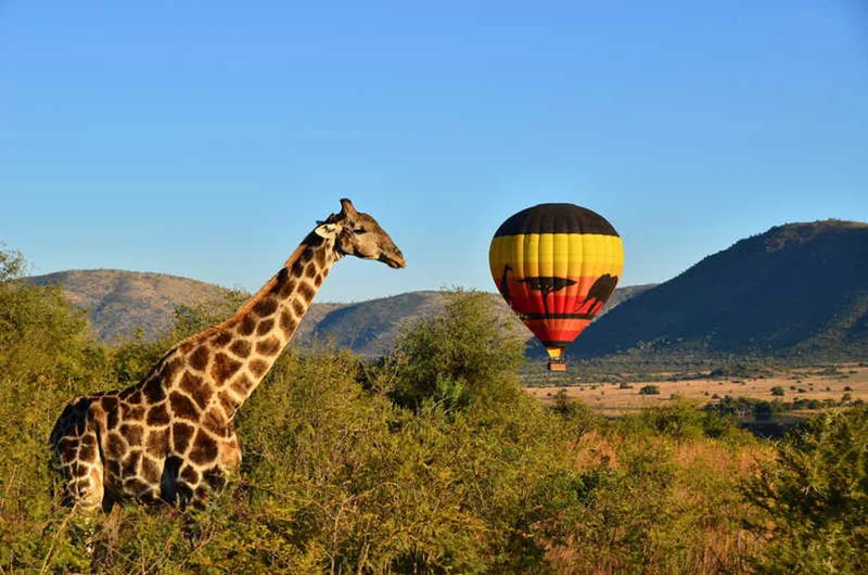 800px_hot-air-balloon.jpg