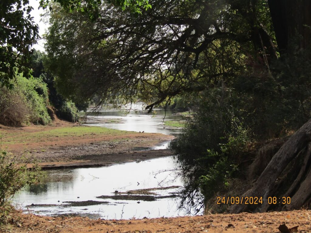 Crooks Corner Lodge & Campiso