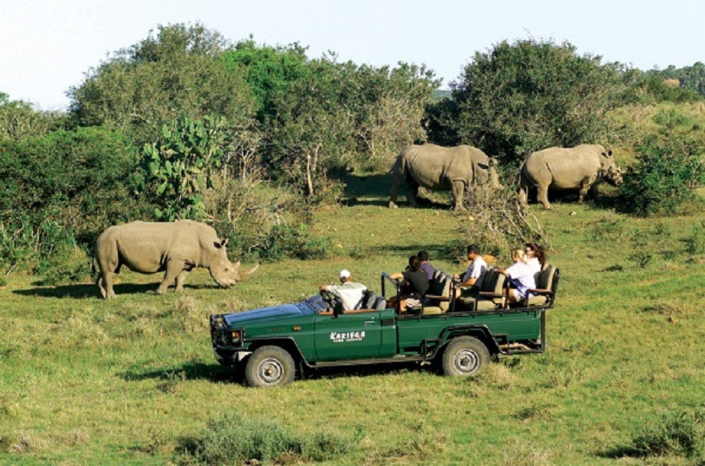 game_drive_viewing_rhino