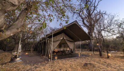 Machaba Camp – Machaba Safaris™